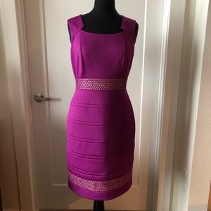 Fuscia Antonia Melani Work Dress